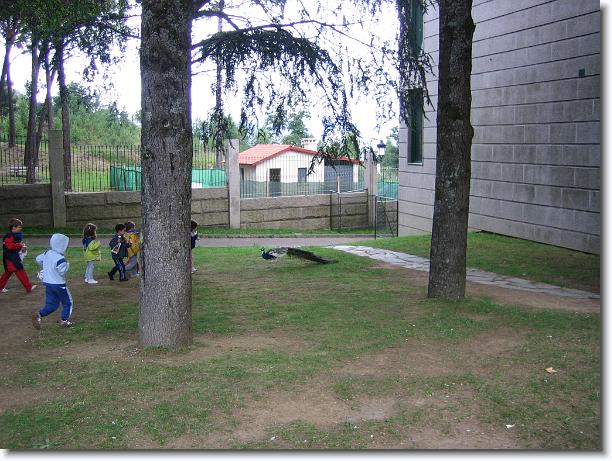 Diapositiva siguiente